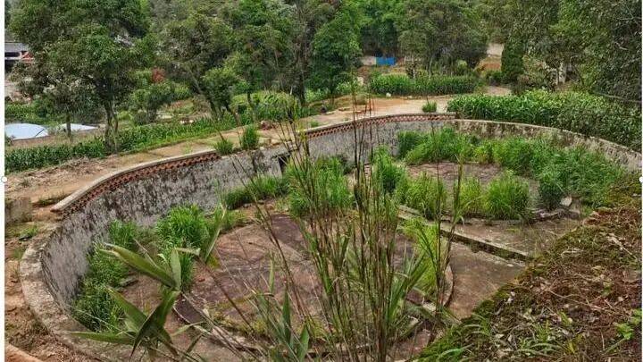 五年 蝶变（四）焕新之变AG真人游戏地址我们这(图7)