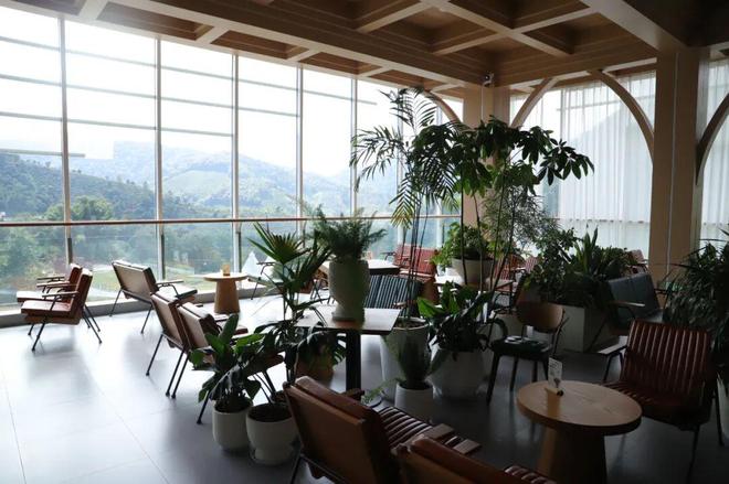 拼多多把“乡土生意”做成新国货AG真人平台一颗云南豆子的逆袭(图5)